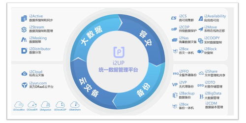 數據資產管理,新電子政務建設利器